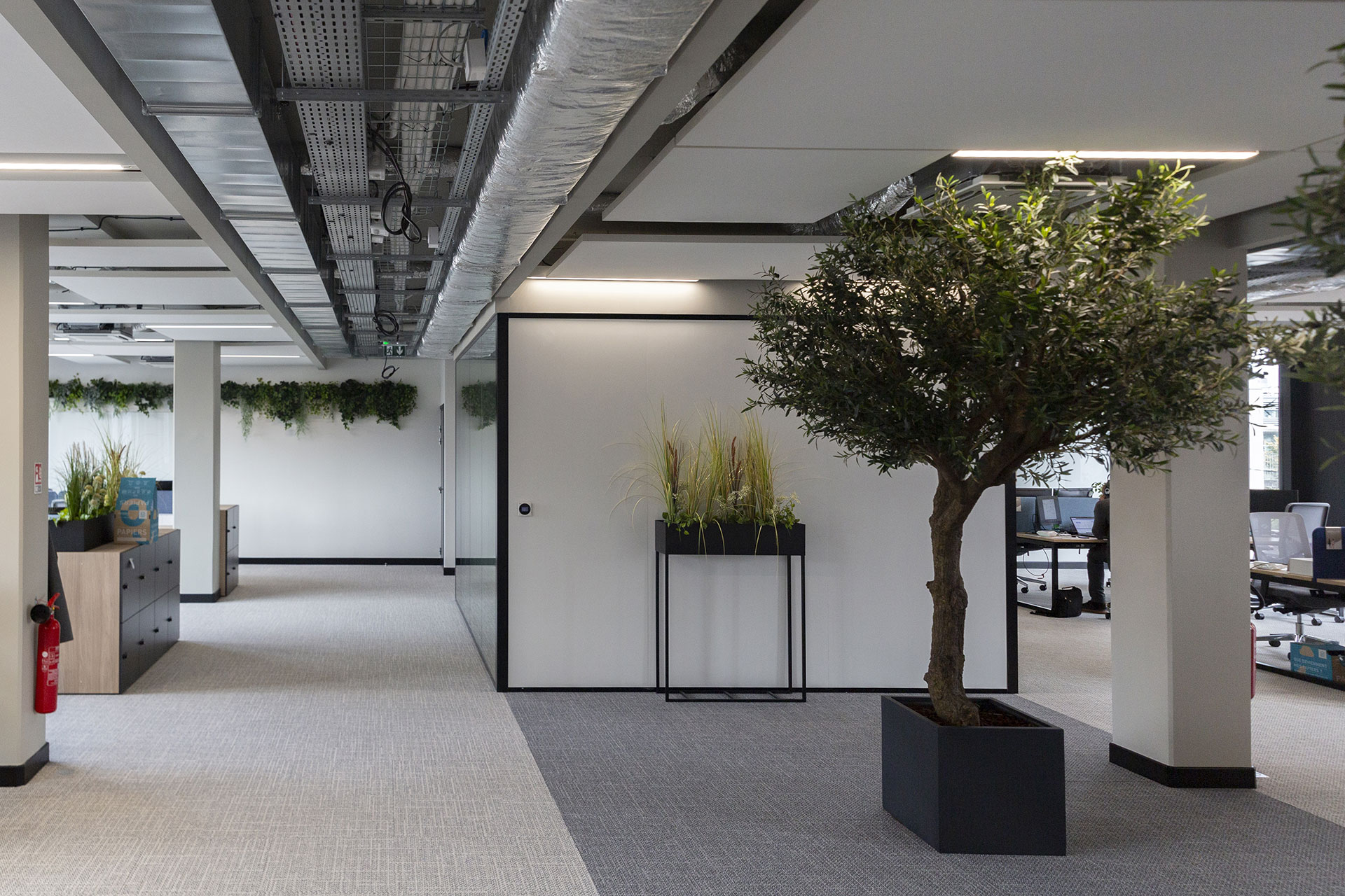 Kleidi — Montreuil